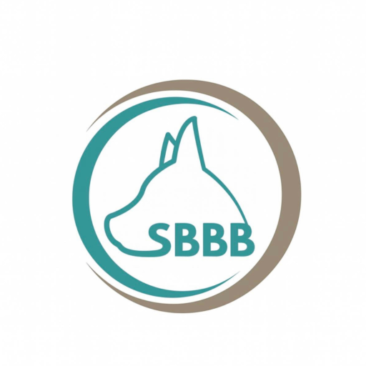 cropped-sbbb.png